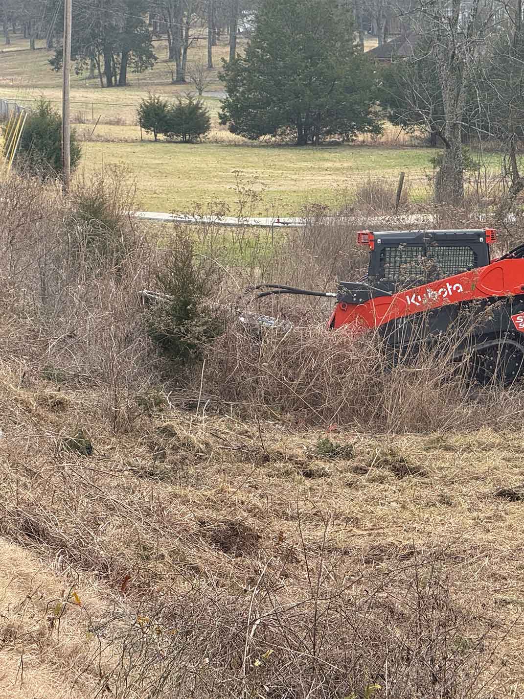Brush-Hogging-Before