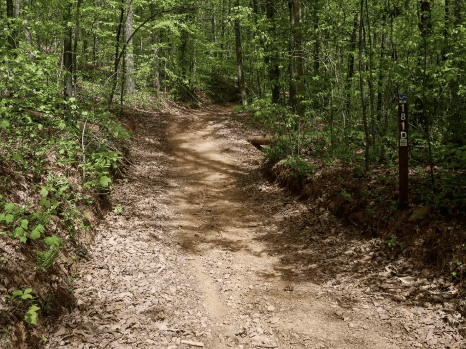 atv-horse-trail-installation-middle-tn-before ATV / Horse Trail construction in Middle TN
