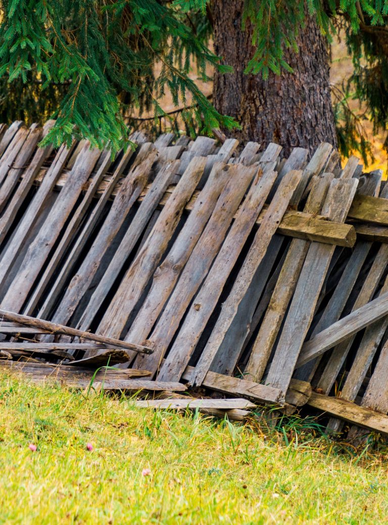 fence-removal-scaled.jpeg