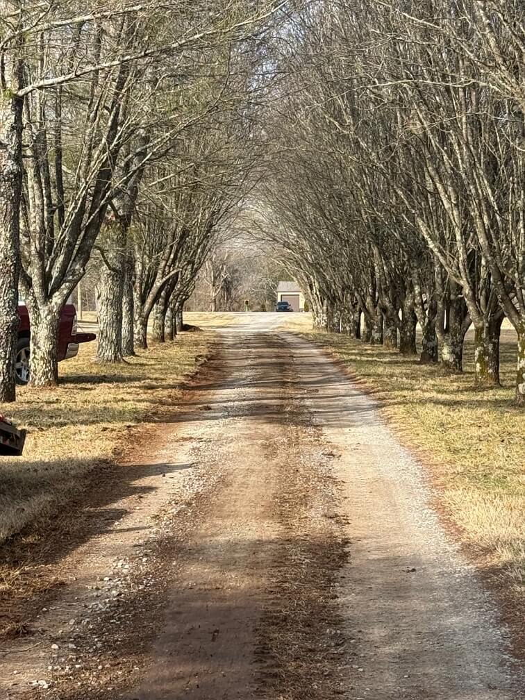 gravel-driveway-resurfacing-in-middle-tn-before Gravel Driveway Resurfacing in Middle TN.