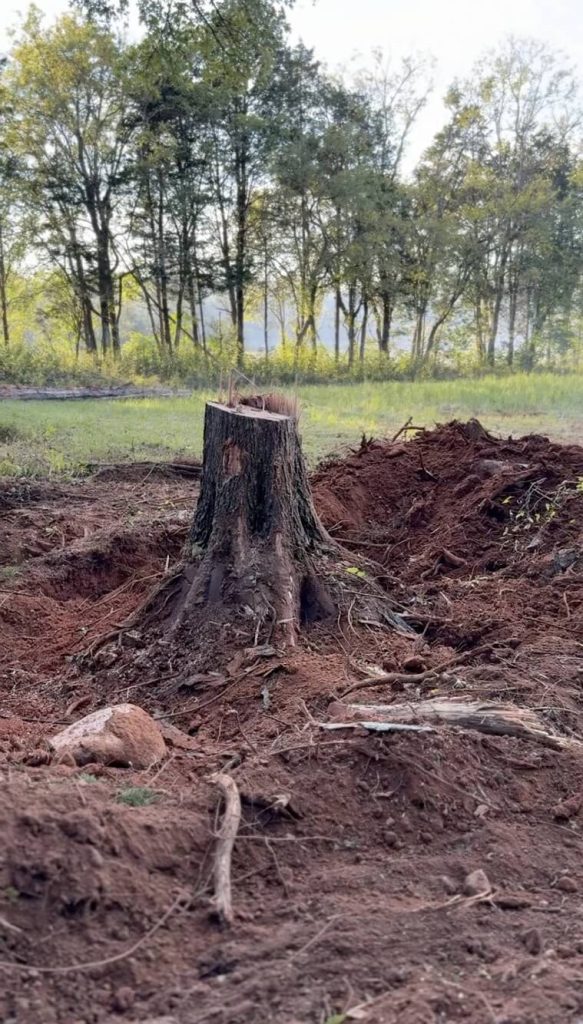 Stump Ginding Service in Middle Tennessee
